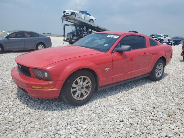 2009 Ford Mustang VIN: 1ZVHT80NX95135648 Lot: 56878514