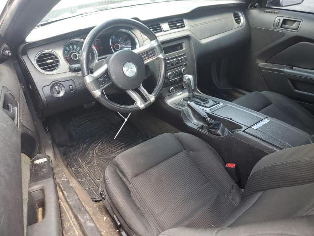 2013 Ford Mustang VIN: 1ZVBP8AM1D5257176 Lot: 58501794