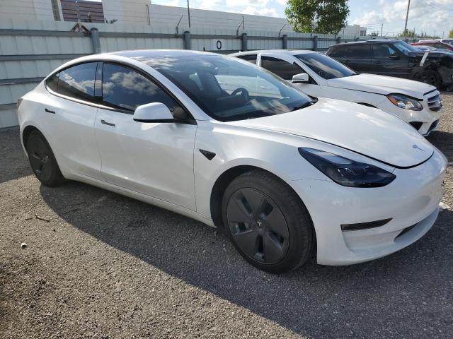 2023 Tesla Model 3 VIN: 5YJ3E1EAXPF396598 Lot: 59530444