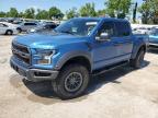 2019 FORD F150 RAPTO - 1FTFW1RG2KFC45882