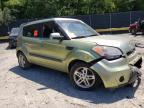 KIA SOUL + photo