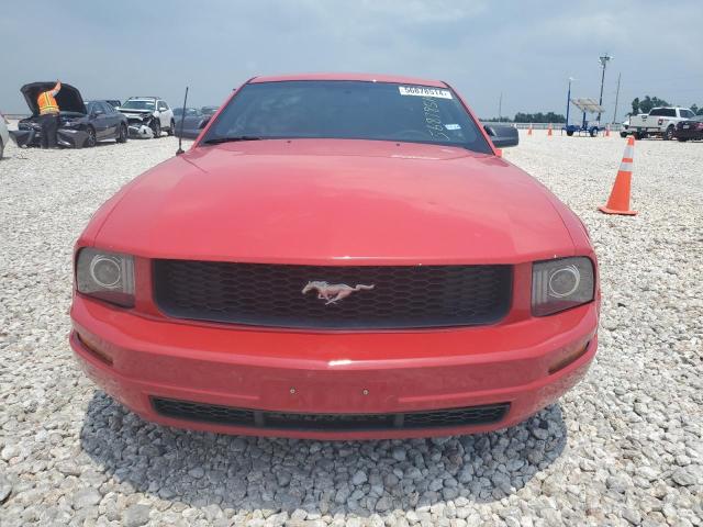 2009 Ford Mustang VIN: 1ZVHT80NX95135648 Lot: 56878514