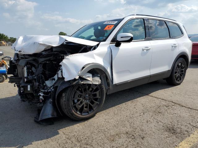 2021 Kia Telluride Sx VIN: 5XYP5DHC8MG168507 Lot: 59262834