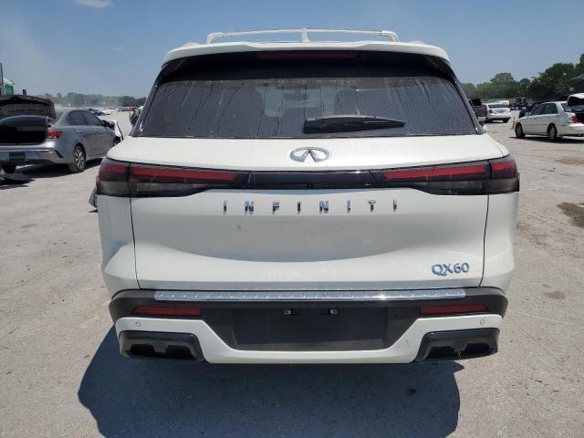 2023 Infiniti Qx60 Luxe VIN: 5N1DL1FR5PC361765 Lot: 58340594