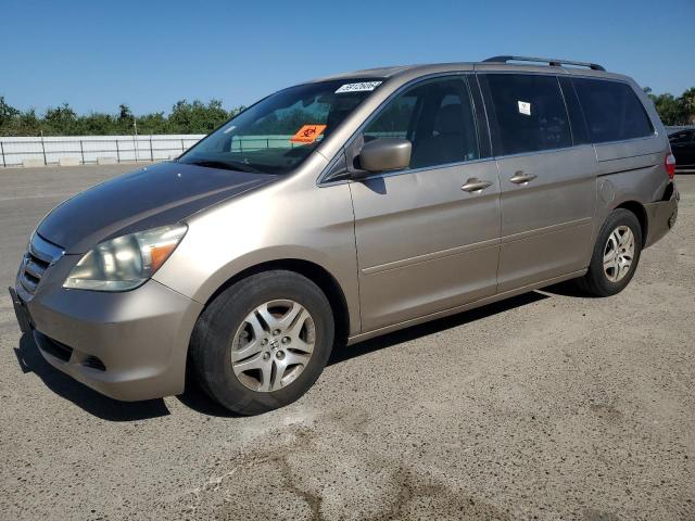 2005 Honda Odyssey Exl VIN: 5FNRL38755B096816 Lot: 59126064