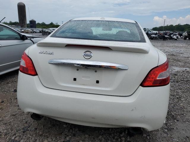 2010 Nissan Maxima S VIN: 1N4AA5AP3AC831623 Lot: 57896244