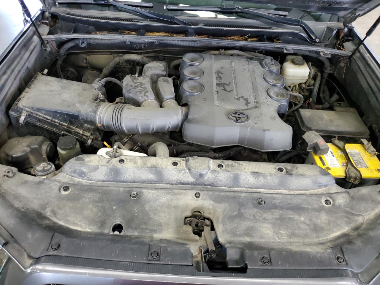 JTEBU5JR1D5144331 2013 Toyota 4Runner Sr5