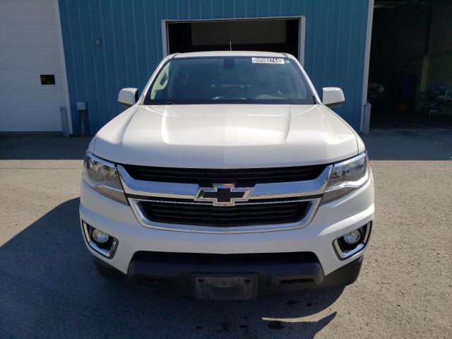 2019 CHEVROLET COLORADO L - 1GCGTCEN8K1131475