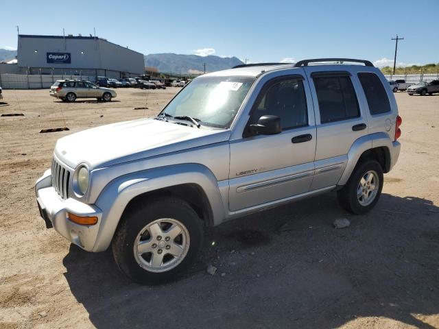 2002 Jeep Liberty Limited VIN: 1J4GL58K82W291074 Lot: 59331584