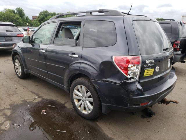 2013 Subaru Forester 2.5X Premium VIN: JF2SHADC6DH409026 Lot: 57578674