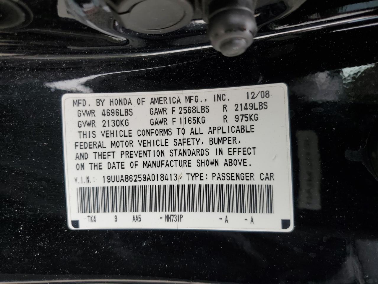 19UUA86259A018413 2009 Acura Tl