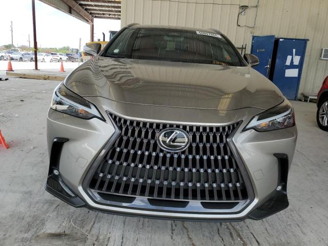 2024 LEXUS NX 250 BAS 2T2ADCAZXRC007222
