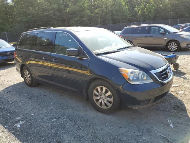 2009 Honda Odyssey Exl VIN: 5FNRL38759B036895 Lot: 57556954