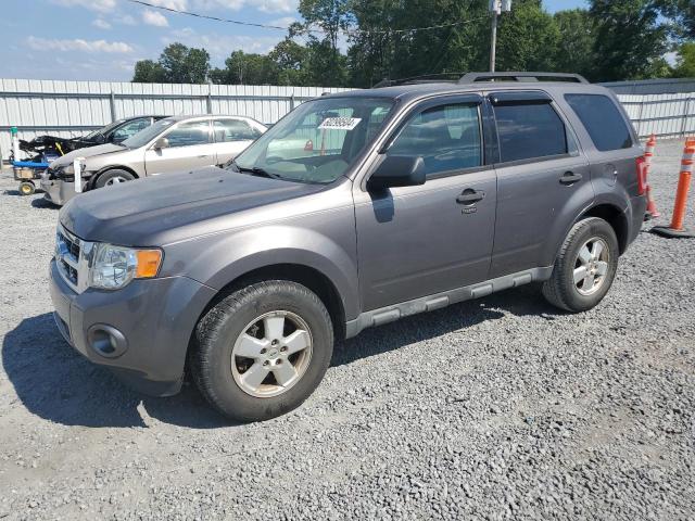 1FMCU0DG2CKC13237 2012 Ford Escape Xlt