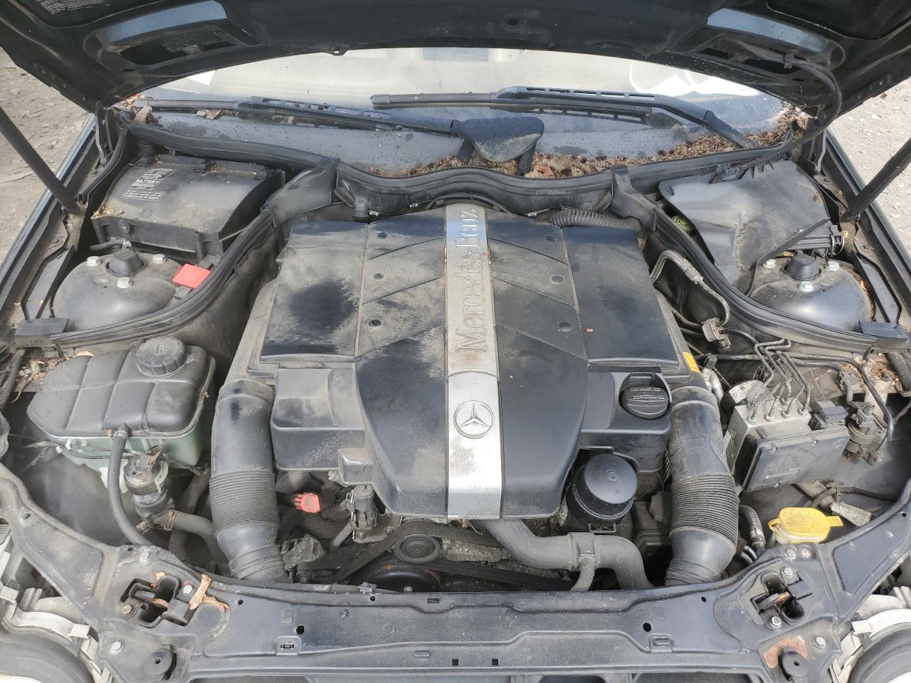 WDBRF81J94F543554 2004 Mercedes-Benz C 240 4Matic