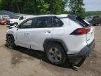 TOYOTA RAV4 XLE photo