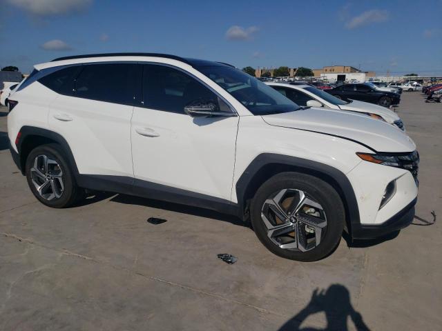 2023 HYUNDAI TUCSON LIM - 5NMJECAE6PH237331