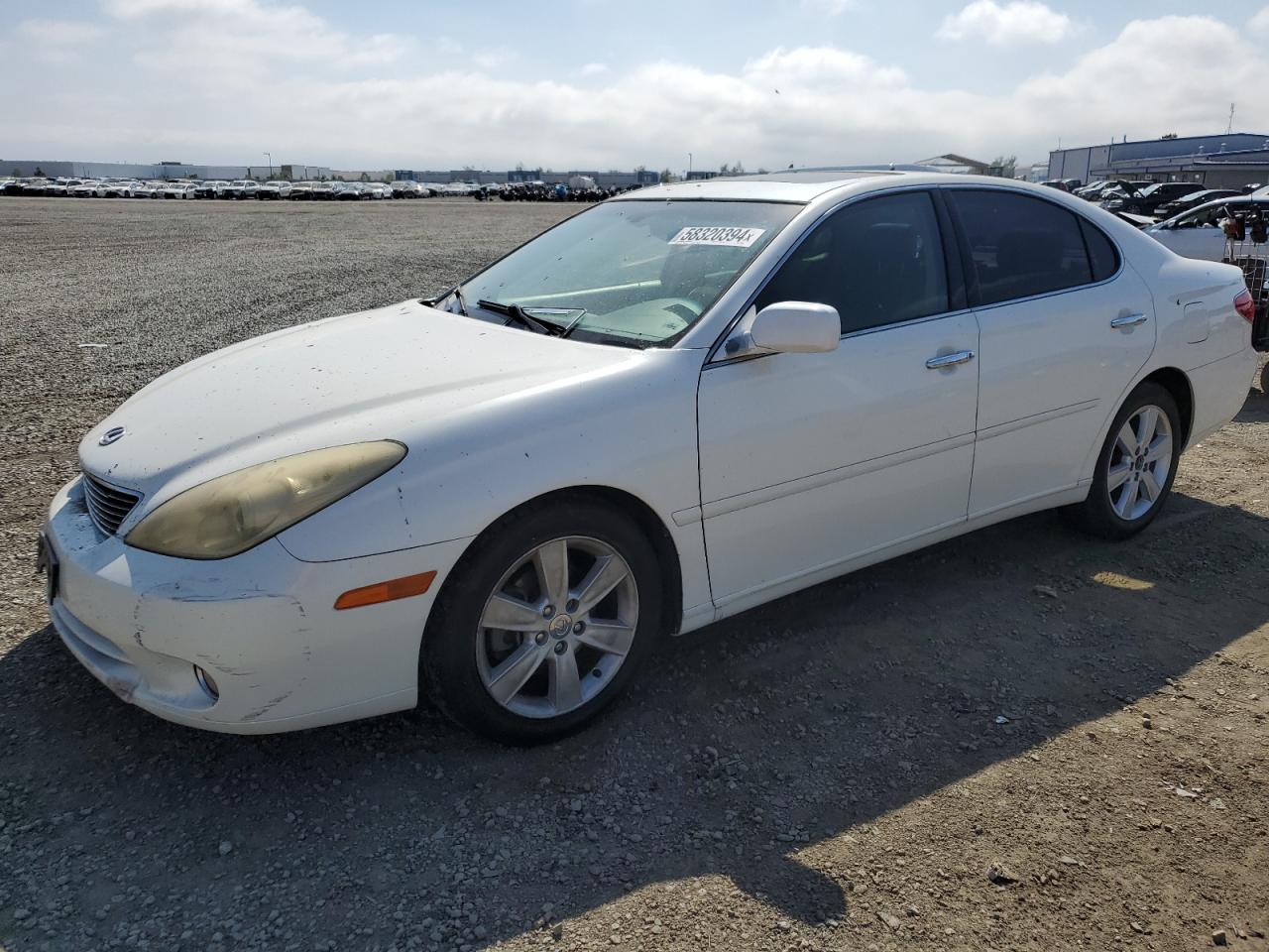 JTHBA30G065152620 2006 Lexus Es 330