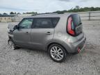 KIA SOUL + photo