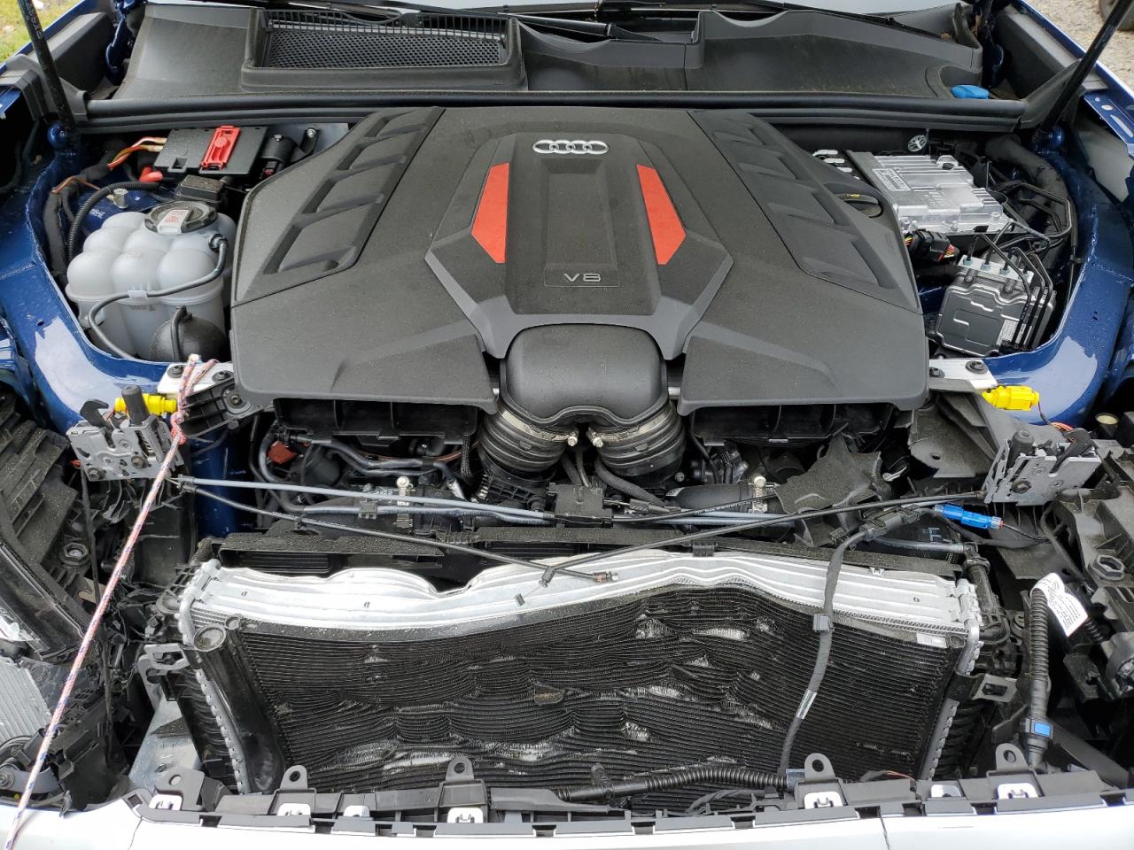 WA1CWBF16RD007204 2024 Audi Sq8 Prestige