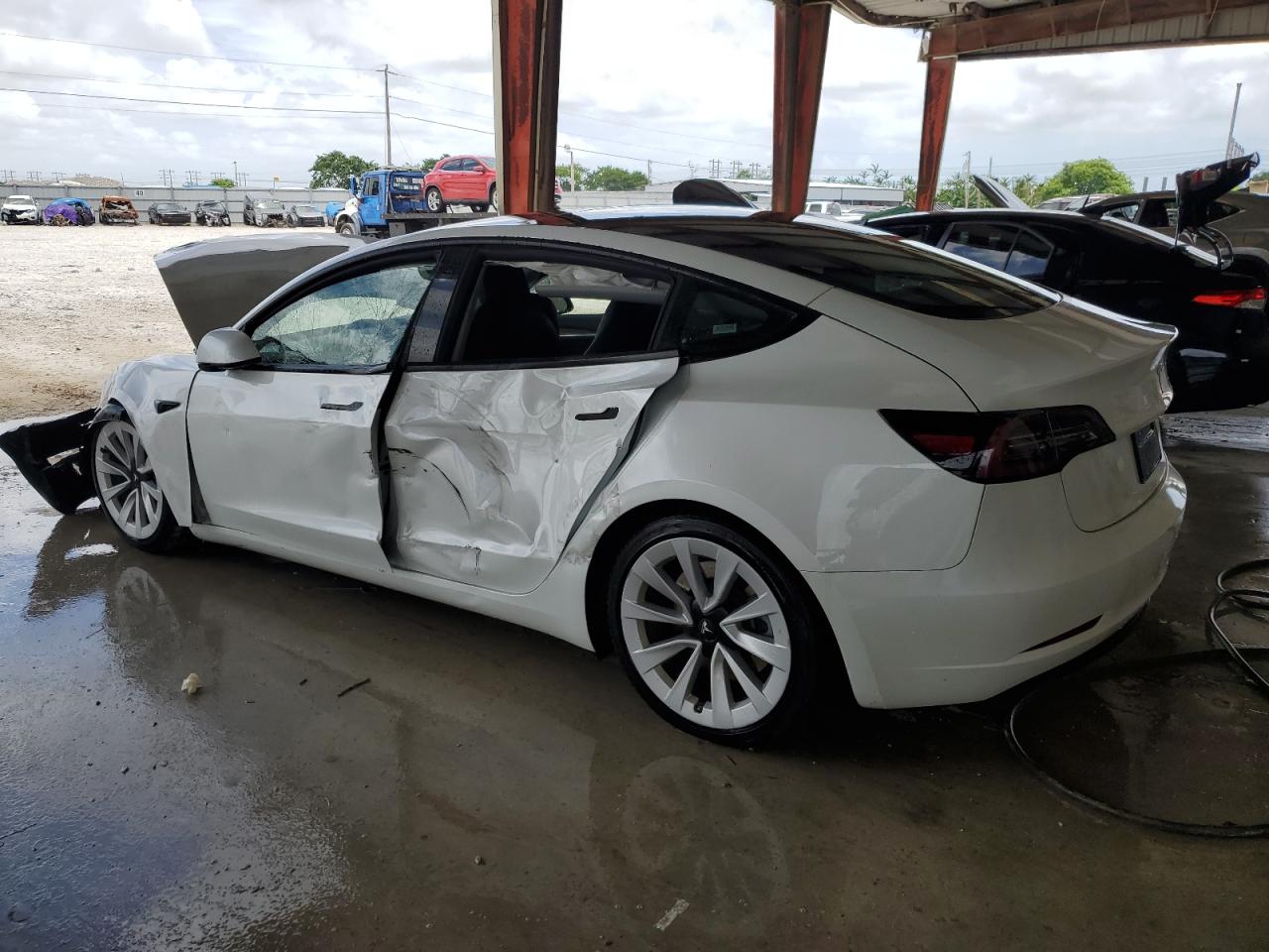 Lot #2726494324 2023 TESLA MODEL 3