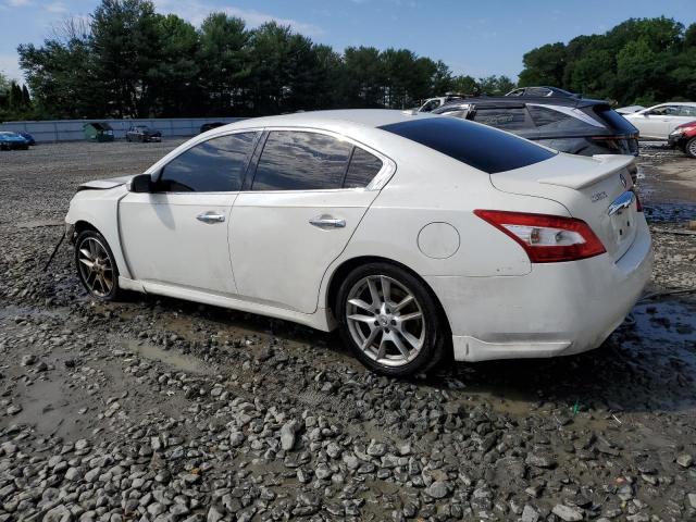 2010 Nissan Maxima S VIN: 1N4AA5AP7AC817532 Lot: 57904704