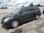 HONDA ODYSSEY EX photo