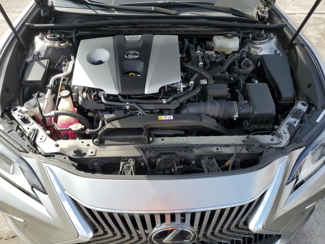 JTHB21B10K2002383 2019 Lexus Es 300H