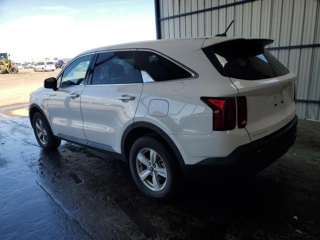Vin: 5xyrgdlc4pg180524, lot: 58495124, kia sorento lx 20232
