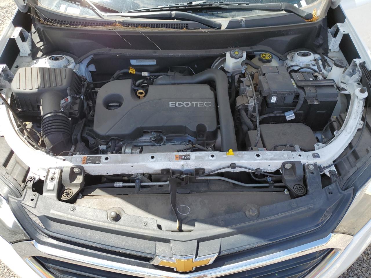 2GNAXKEV8L6232428 CHEVROLET EQUINOX 2020