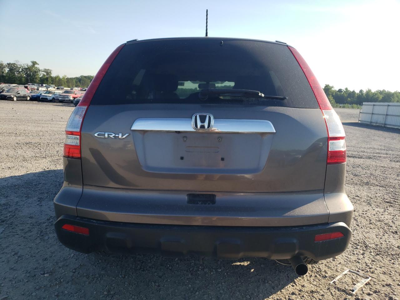 5J6RE38719L010117 2009 Honda Cr-V Exl