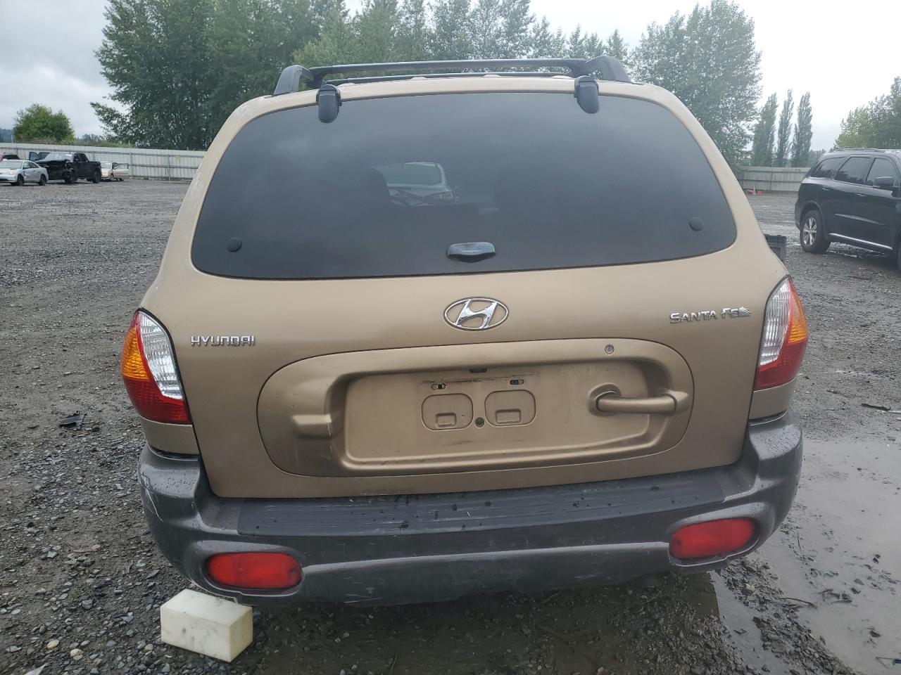 KM8SB12B54U645101 2004 Hyundai Santa Fe Gl