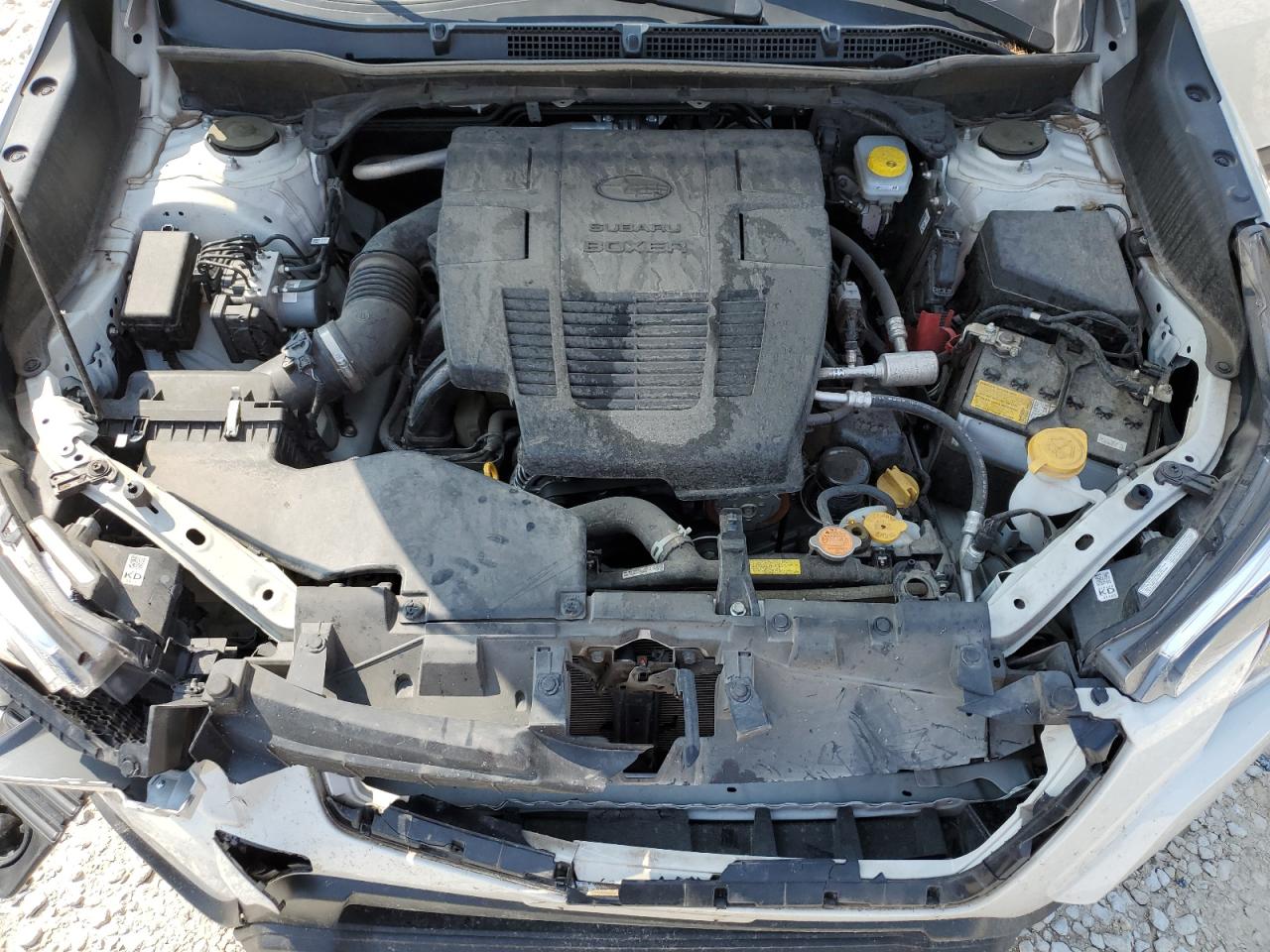 JF2SKACC1NH464942 2022 Subaru Forester