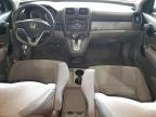 Lot #3024742240 2010 HONDA CR-V EX