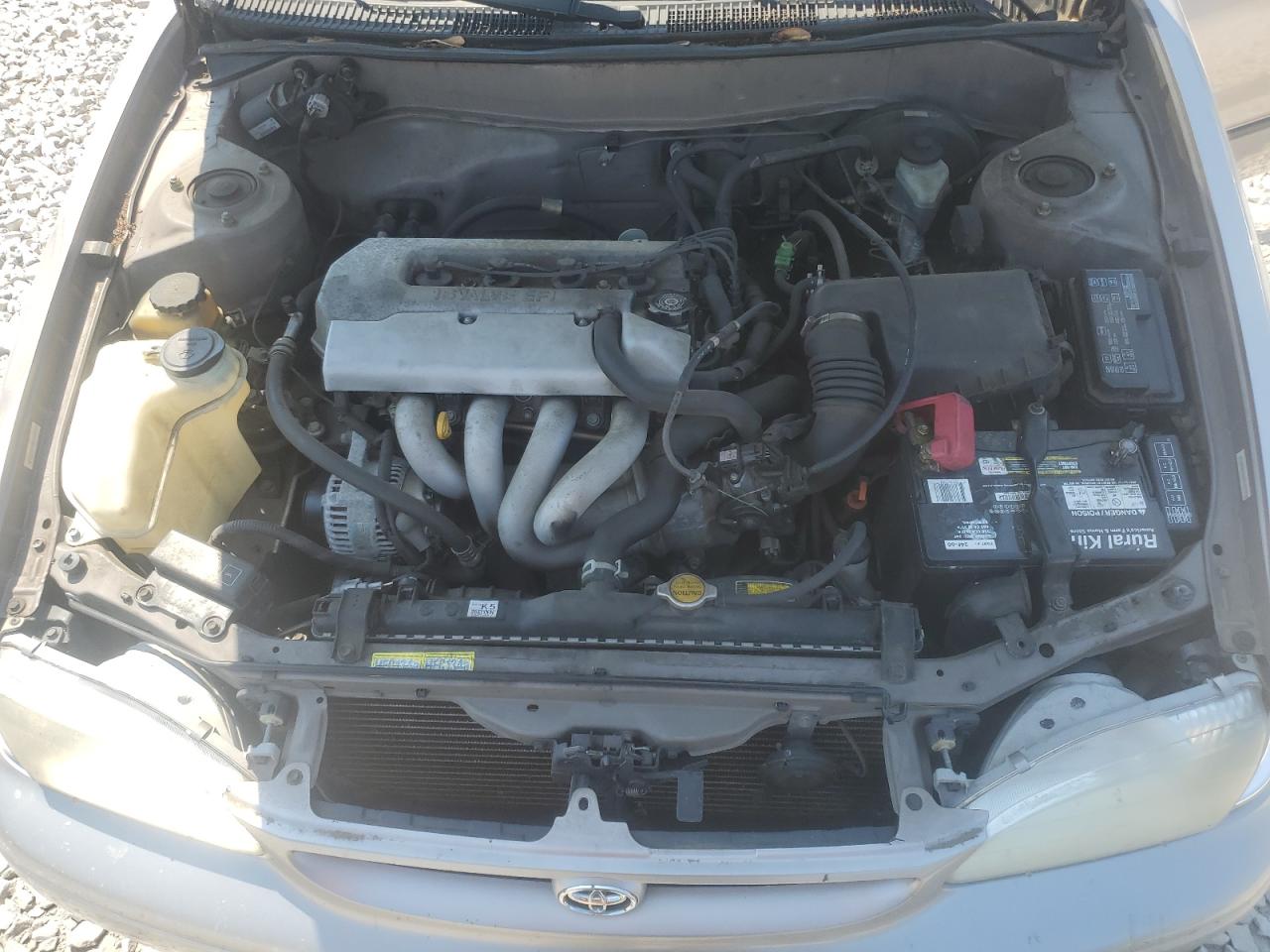 1NXBR12E1XZ172159 1999 Toyota Corolla Ve