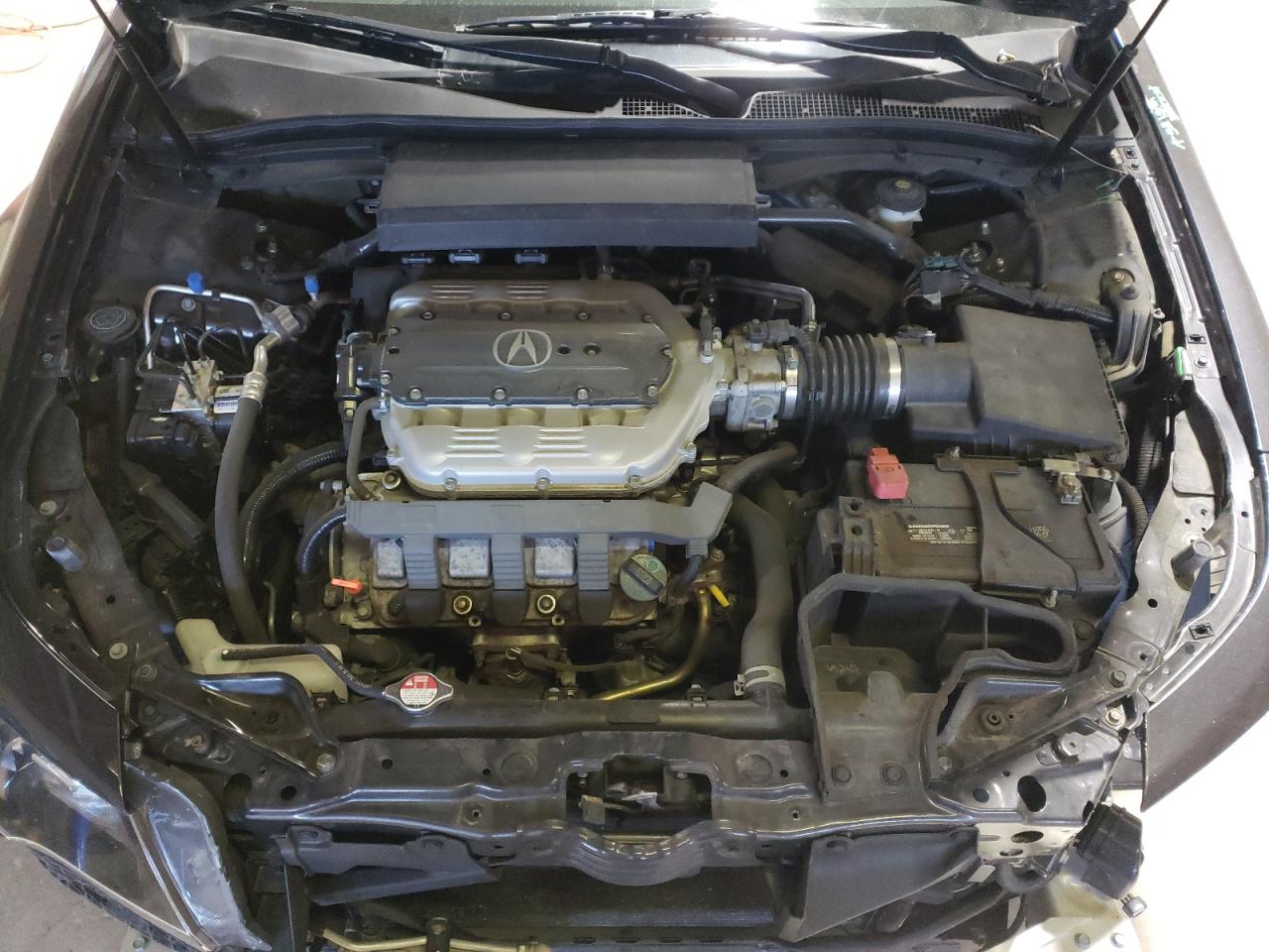 19UUA9F24DA001598 2013 Acura Tl