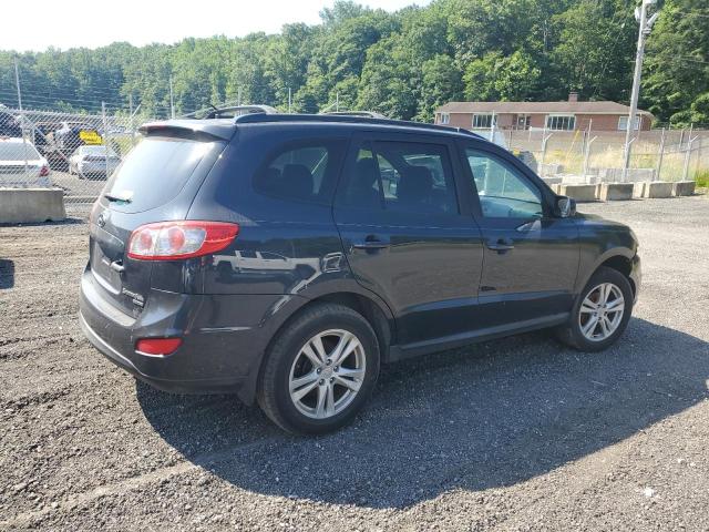 2010 Hyundai Santa Fe Se VIN: 5NMSHDAG9AH386925 Lot: 57020744