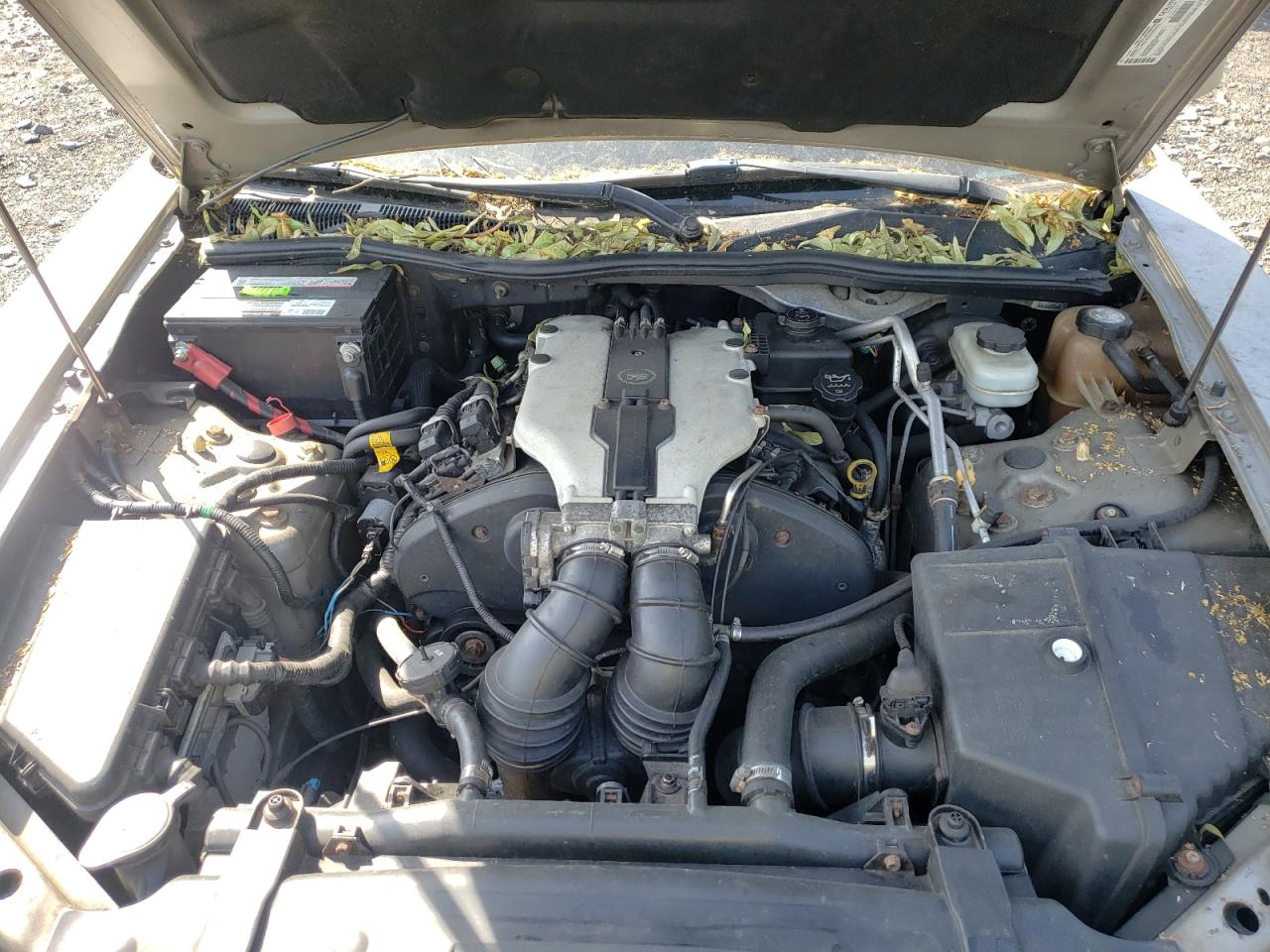 1G6DM57N330139079 2003 Cadillac Cts