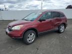 HONDA CR-V EX photo