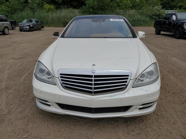 2010 Mercedes-Benz S 550 4Matic VIN: WDDNG8GB6AA333120 Lot: 58391084