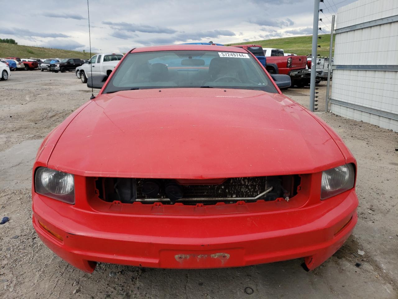 1ZVHT80N765138082 2006 Ford Mustang