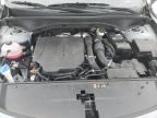 Lot #2821470270 2023 KIA SORENTO EX