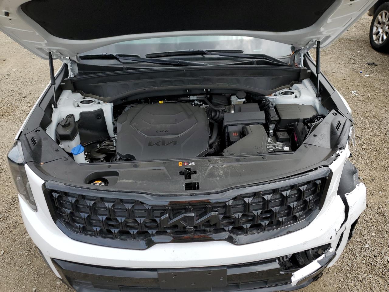 5XYP5DGC0RG426608 2024 Kia Telluride Sx 5XYP5DGC0RG426608 2024 Kia Telluride Sx