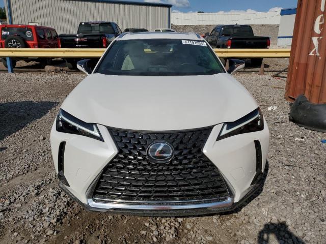 JTHP6JBH2P2151828 Lexus Ux 250h Pr  5