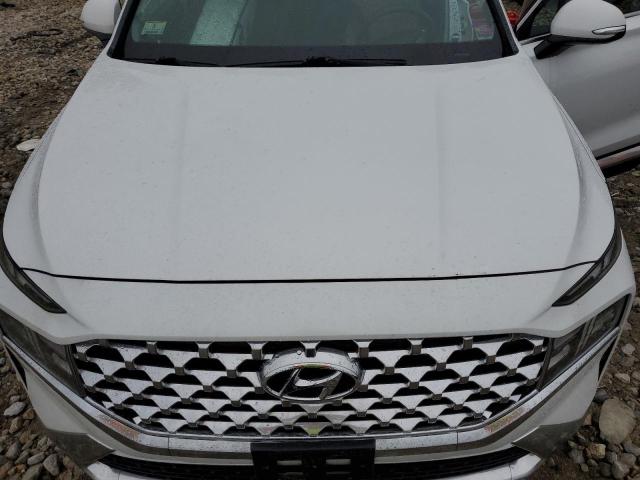 5NMS6DAJ4MH311944 Hyundai Santa Fe S 12