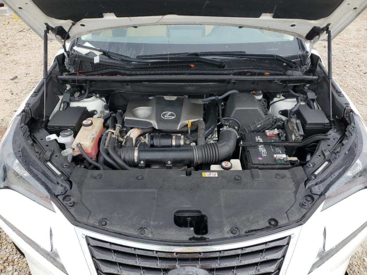 JTJYARBZ3K2141861 2019 Lexus Nx 300 Base