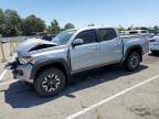 2020 TOYOTA TACOMA DOU - 3TMCZ5AN9LM365708