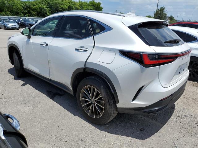 LEXUS NX 250 2023 white  gas JTJADCAZ4P5012444 photo #3