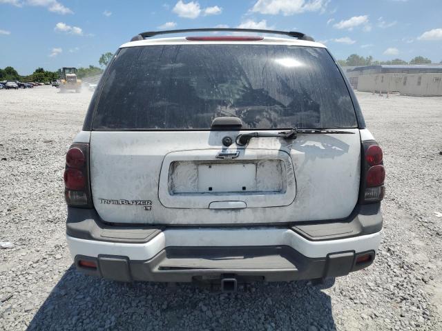 2005 Chevrolet Trailblazer Ls VIN: 1GNDS13S452340365 Lot: 60402984