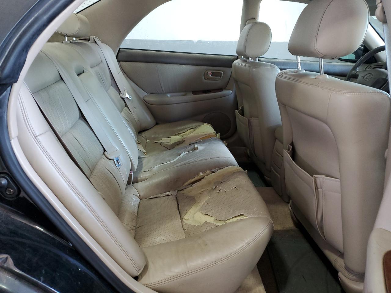 JT8BF28G3X0201551 1999 Lexus Es 300